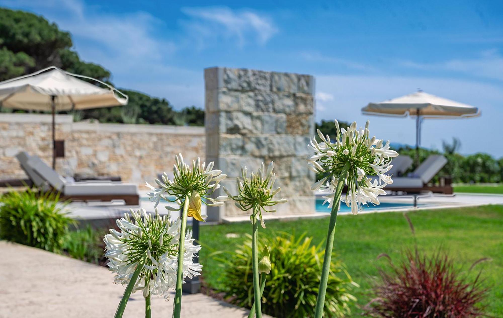 Theluxuryvillas Превеза Екстер'єр фото